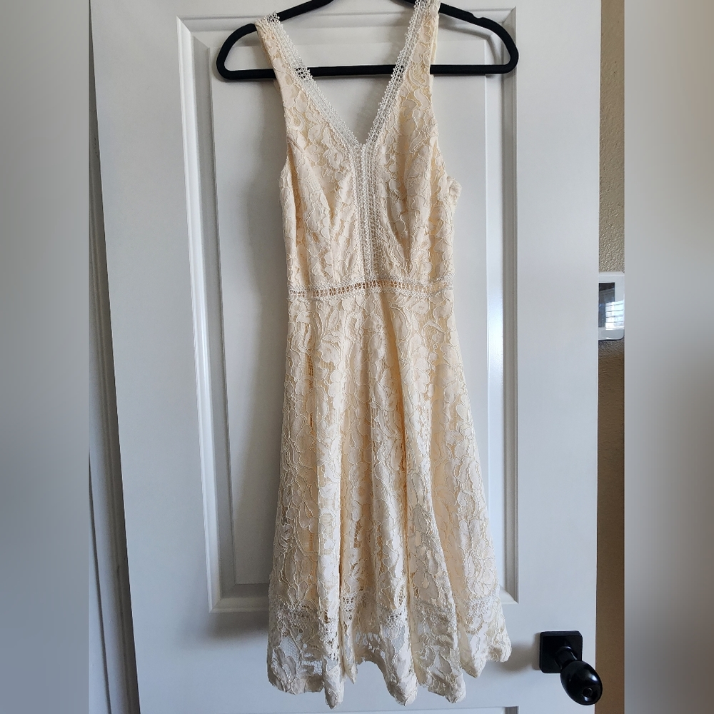 New lace fit & flare dress